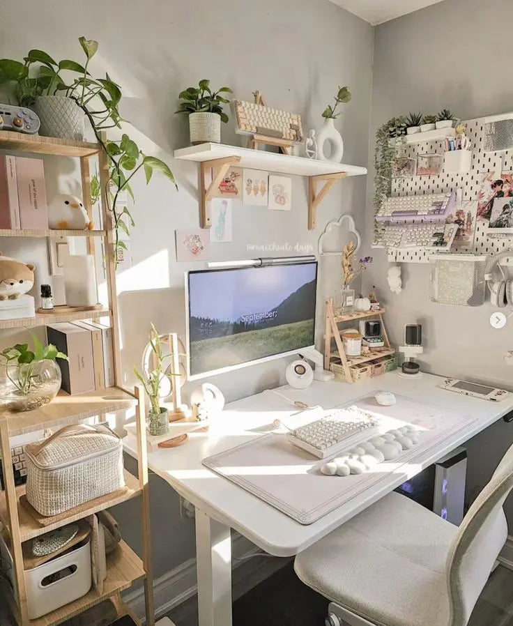 Desk Fidgets & Focus